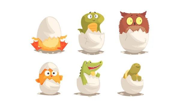 Cute Birds and Reptiles Hatching Vector Set. Cartoon New Born Creatures Collection — Stock Vector