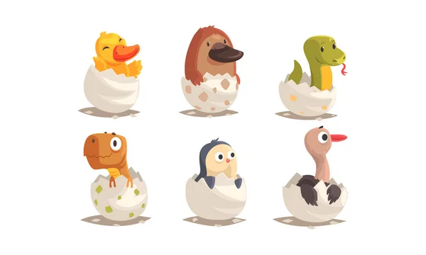 Chicks And Reptiles Hatch From Eggs Set Unborn Animals Vector Illustrations Stock Vector Image By C Topvectors