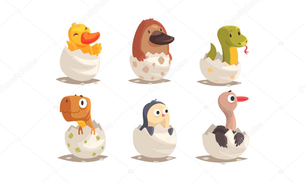 Cute Birds and Reptiles Hatching Vector Set. Cartoon New Born Creatures Collection