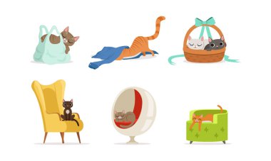 Farklı Evcil Kediler Çeşitli Yerlerde Saklanıyor ve Dinleniyor Vektör Ayarları
