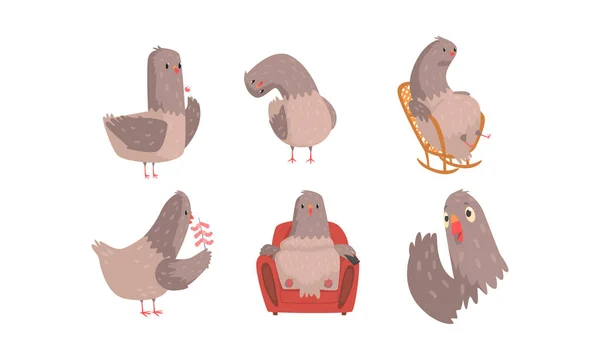 Funny Grey Pigeons Cartoon Characters Vector Set — Stock Vector