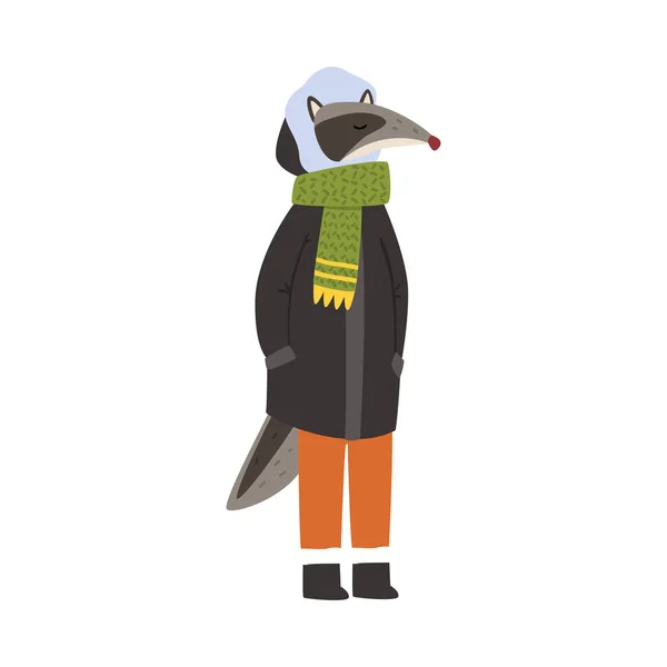 暖かいジャケット、スカーフ、パンツを身に着けているバッジャー、冬服漫画ベクトルイラストの人間の森動物のキャラクター — ストックベクタ