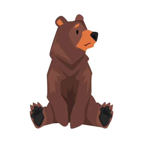 Zittend Bruine Grizzly Beer, Wild Animal Character Cartoon Vector illustratie — Stockvector