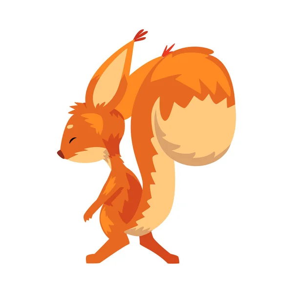 Linda ardilla, pequeño personaje de dibujos animados animado de roedor naranja divertido, Vack View Vector illustration — Vector de stock