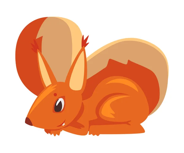 Esquilo bonito, divertimento pequeno roedor animal desenho animado personagem vetor ilustração —  Vetores de Stock