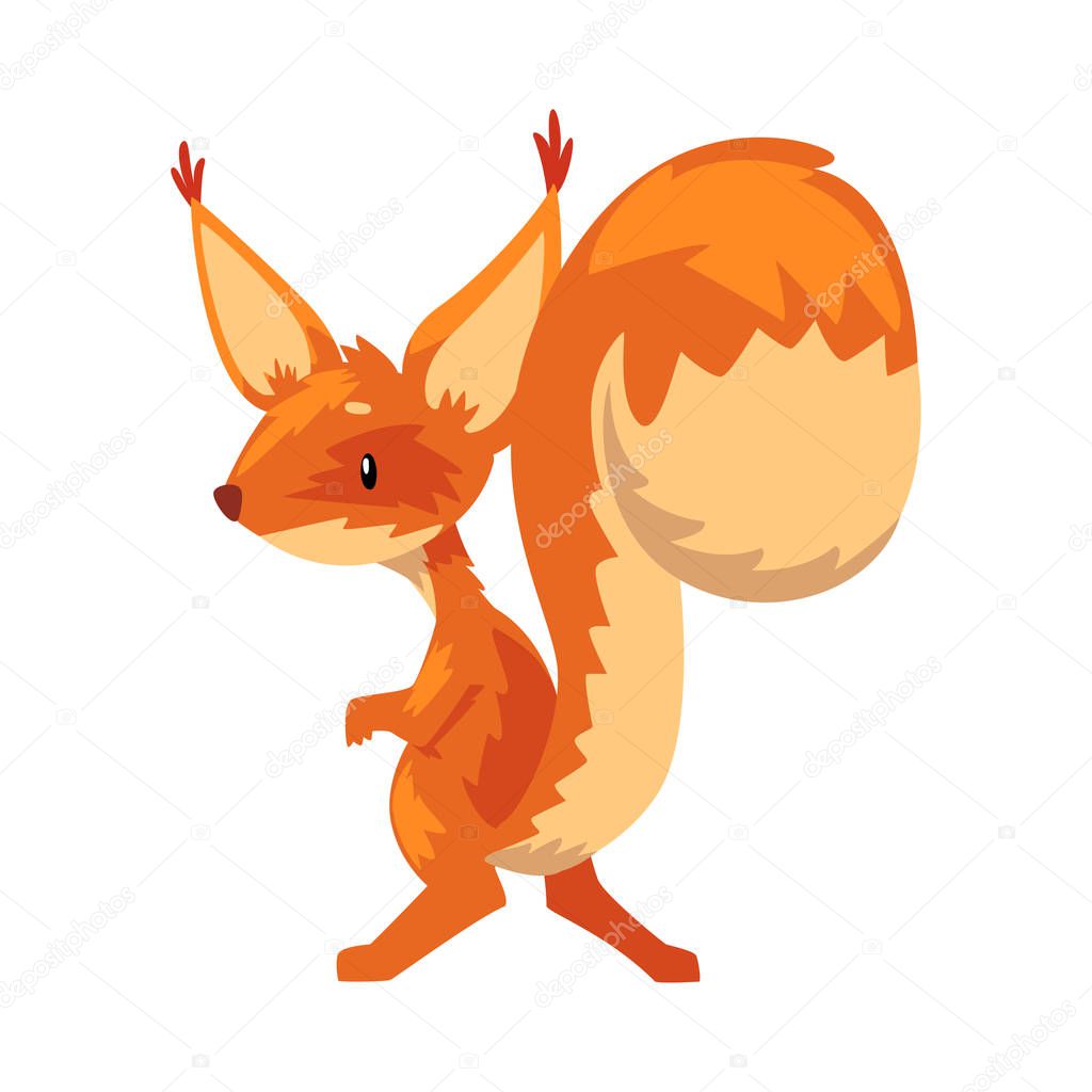 Cute Funny Squirrel, Amusement Little Orange Rodent Animal Cartoon Character Vector illustration