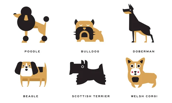 Köpek Koleksiyonu, Kaniş, Bulldog, Doberman, Beagle, İskoç Teriyeri, Galli Corgi Vektör İllüstrasyonu — Stok Vektör