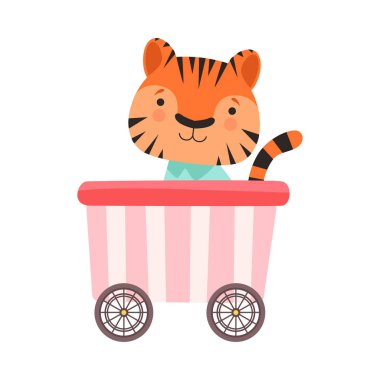 Komik Çizgili Kaplan Taşıyıcı Resimde Biniyor