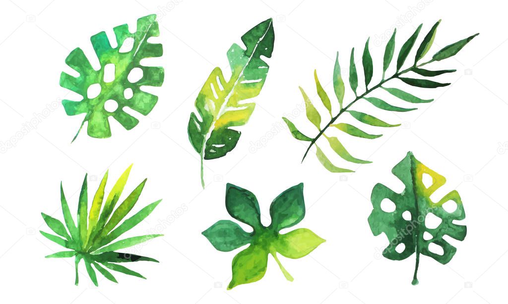 Palm Leaves Collection, Beautiful Tropical Exotic Green Plants Watercolor Hand Drawn Vector Illustration