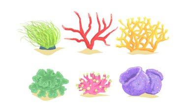 Deniz yosunları Koleksiyonu, Deniz yosunları Su altı Bitkileri Vektör İllüstrasyonu