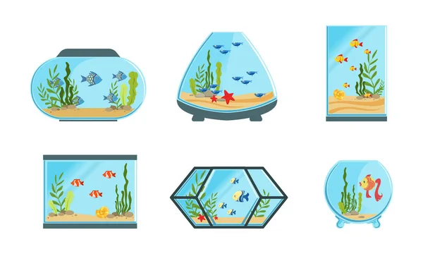 Coleção de tanques de aquário de diferentes formas com peixes bonitos e algas ilustração vetorial — Vetor de Stock