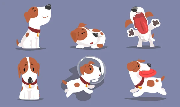 Niedlichen Beagle Hund Sammlung, lustig liebenswert Tier Charakter in verschiedenen Situationen Vektorillustration — Stockvektor
