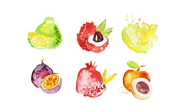 Juicy Ripe Tropical Fruit Collection, Pomelo, Lychee, Carambola, Pomegranate, Mangosteen, Peach Watercolor Hand Painting Vector Illustration - Stok Vektor