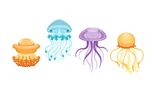 Colección de medusas, hermosa natación mar o océano Criaturas Set Vector Ilustración — Vector de stock