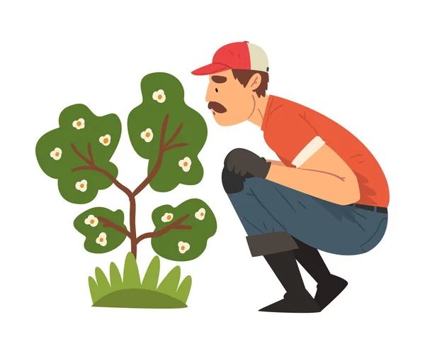 Man Gardener Squatting and Looking at Flowering Bush, Mężczyzna Rolnik Postać Praca w ogrodzie lub Farm Vector Ilustracja — Wektor stockowy