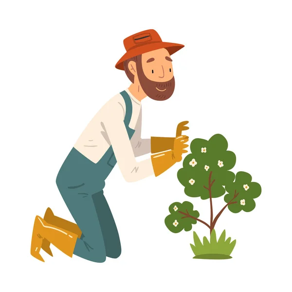 Giardiniere uomo Guardando in ammirazione alla pianta da fiore, personaggio agricoltore maschile che lavora in giardino o fattoria Vector Illustrazione — Vettoriale Stock