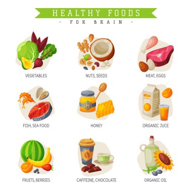 Beyin, Sebze, Fındık ve Tohum, Balık, Deniz Ürünleri, Bal, Organik Meyve, Meyve, Kafein, Çikolata, Organik Yağ Vektörü İllüstrasyonu