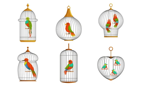 Colección de aves exóticas y loros en jaulas, lindos pájaros coloridos Vector ilustración sobre fondo blanco — Vector de stock