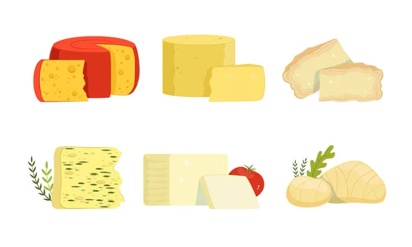 Různé odrůdy sýrové kolekce, Lahodné čerstvé mléčné výrobky Vektorové ilustrace na bílém pozadí — Stockový vektor