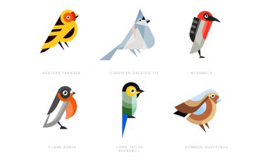 Renkli Kuşlar Koleksiyonu, Western Tanager, Avrupa İbikli Meme, Myzomela, Alev Robin, Uzun Kuyruklu Yayın Yayın Yayın Tasarısı, Yaygın Chaffinch Vektör İllüstrasyonu