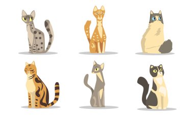 Farklı Kedilerin Türlerinin Koleksiyonu, Çeşitli Renklerin Güzel Hayvanları Beyaz Arkaplanda Vektör İllüzyonu