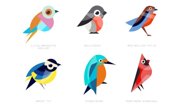 Colorful Stylized Birds Collection, Lilac Breasted Roller, Bullfinch, Red Bellied Pitta, Great Tit, Kingfisher, Northern Cardinal Vector Illustration on White Background — Stock Vector