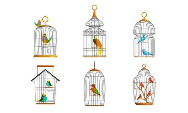 Aves exóticas na coleção de gaiolas de ferro, bonito colorido Birdies Vector Ilustração em fundo branco — Vetor de Stock