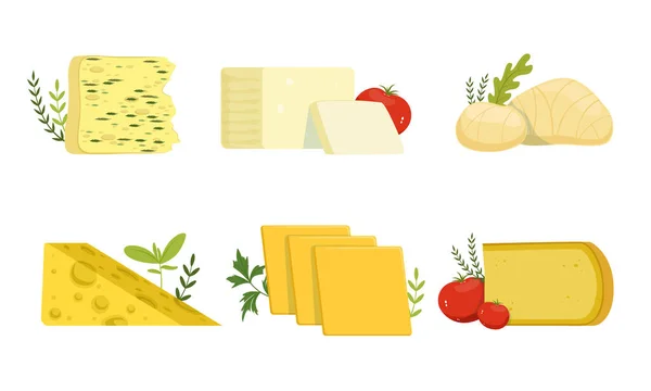 不同类型的奶酪，美味鲜奶产品，白色背景下分离的病媒说明 — 图库矢量图片