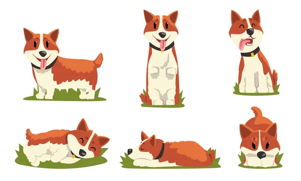 Collection of Cute Dog in Everyday Activities, Cute Pet Animal in Various Poses Vector Illustration on White Background — Stok Vektör