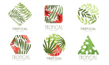 Tropikal Logo Tasarım Koleksiyonu, Egzotik Yapraklı Geometrik Rozetler ve Çiçek Vektörü İllüstrasyonu