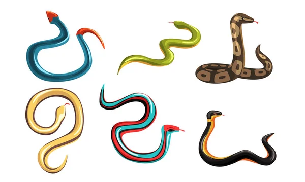Coleção de serpentes, criaturas de serpentes venenosas de diferentes cores ilustração vetorial — Vetor de Stock