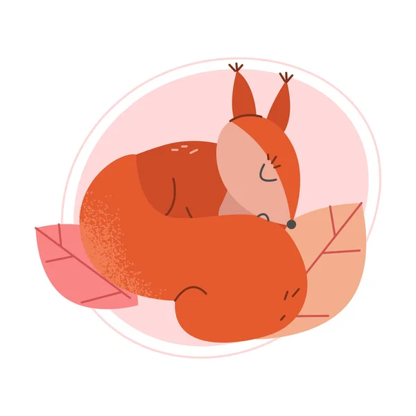 Cute Squirrel Animal Sleeping on Fallen Leaves Vector Illustration — Stock Vector