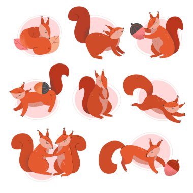 Cute Squirrel Animal Sitting and Jumping Vector Illustrations Set clipart