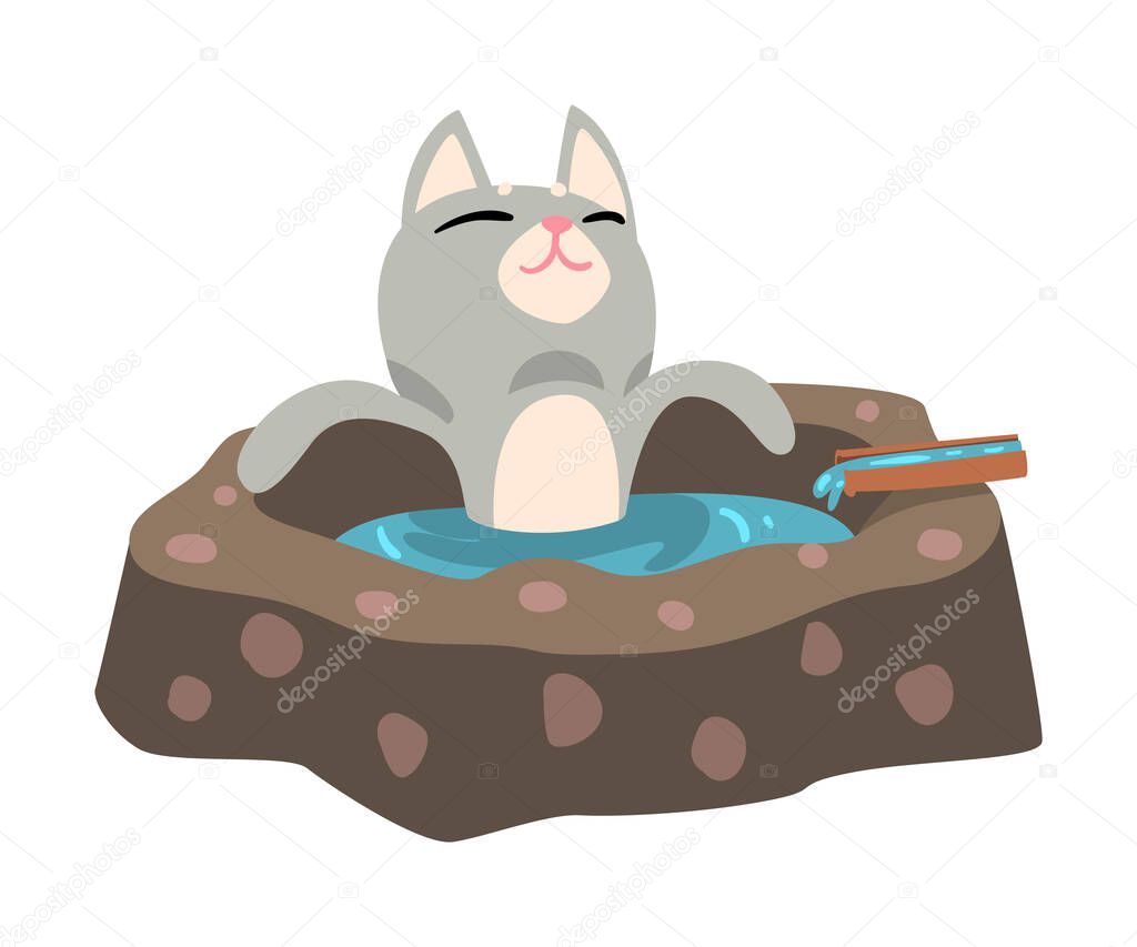 Funny Grey Cat Taking an Onsen Bath Outdoor, Cute Pet Animal Enjoying Spa Procedure Vector illustration