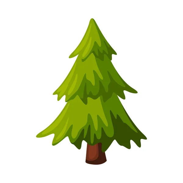 Fir Evergreen Drzewo, Boże Narodzenie i Nowy Rok Symbol, Tradycyjne dekoracje świąteczne Wektor Ilustracja — Wektor stockowy