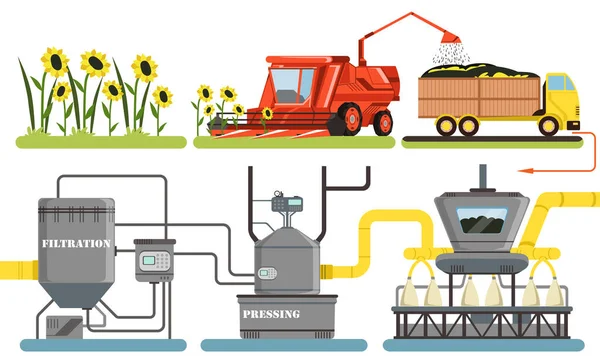 Sunflower Oil Production Process, Harvesting, Filtration, Pressing Automated Line Vector Illustration — Stock Vector