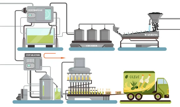 橄榄油生产过程、橄榄油清洗、粉碎、分离、瓶装自动直线矢量图解 — 图库矢量图片