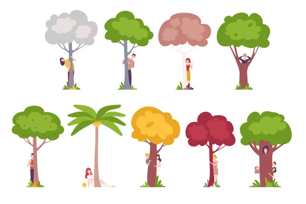 Les gens debout derrière les arbres, les jeunes hommes et les femmes se cachent et regardent derrière les troncs d'arbres Illustration vectorielle — Image vectorielle