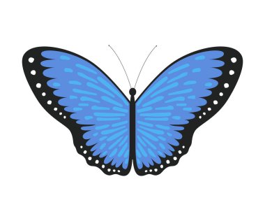 Mavi Tropikal Kelebek, Dekoratif Element Vektör İllüstrasyonu için Güzel Renkli Uçan Böcek