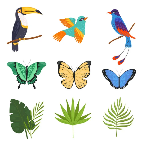 Collezione tropicale, Belle farfalle, Uccelli con luminoso piumaggio colorato, Foglie di palme illustrazione vettoriale — Vettoriale Stock