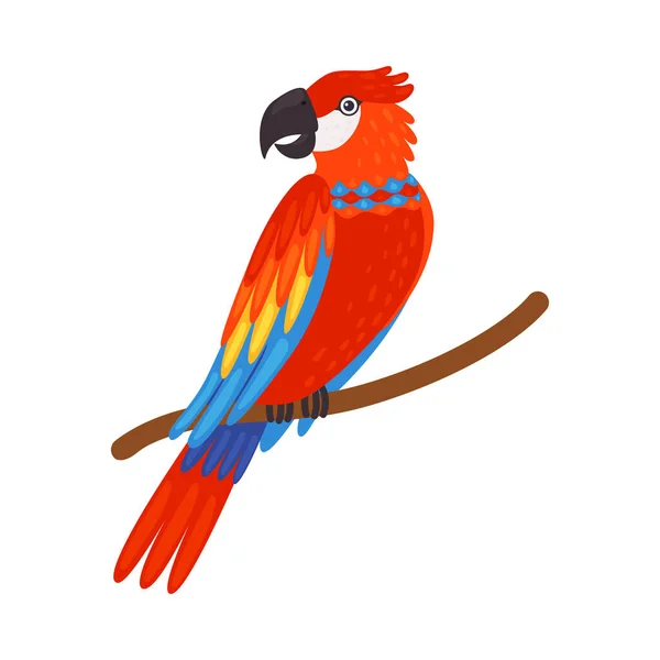 Perroquet tropical coloré, bel oiseau avec illustration vectorielle de plumage lumineux — Image vectorielle