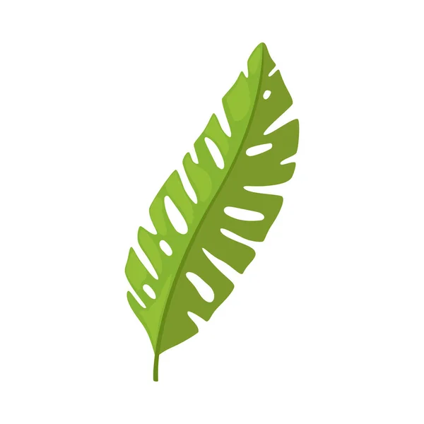 Palmiye Ağacı Yaprağı, Tropikal Egzotik Bitki, Dekoratif Element Vektör İllüstrasyonu — Stok Vektör