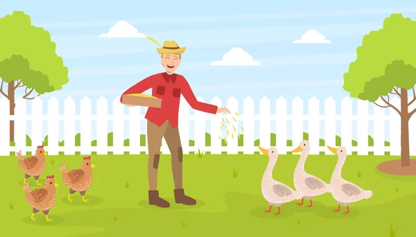 Male Farmer Feeding Poultry, Man Working at Farm, Summer Rural Landscape Vector illustration — Stock Vector