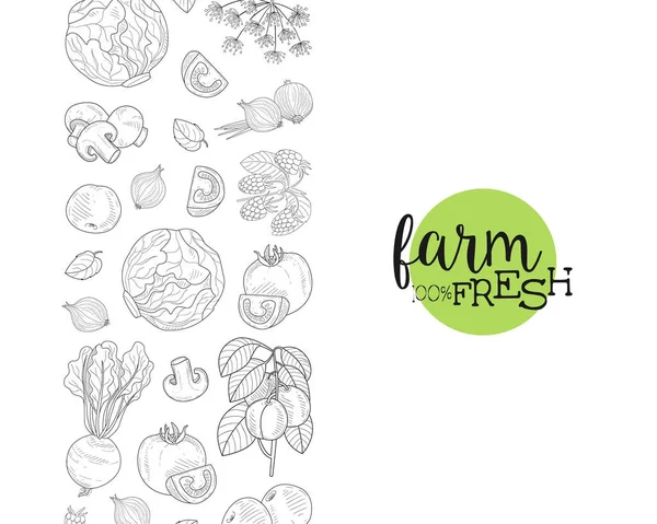 Frische Bauernhof-Lebensmittel Banner-Vorlage mit handgezeichnetem Gemüse und Pflanzen Nahtlose Muster-Vektorillustration — Stockvektor