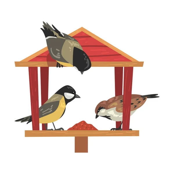 Zimní krmivo pro ptáky s kozami a vrabci, severní ptáci krmení podle semen v dřevěné krmivo vektorové ilustrace — Stockový vektor