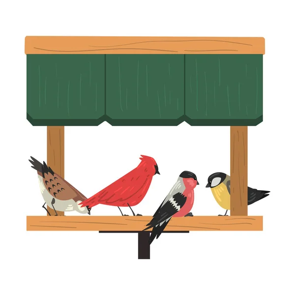 Alimentatore di uccelli invernali, Alimentazione di uccelli del nord da semi in alimentatore di legno, Carino Cardinale rosso, Chickadee, Passero, Illustrazione vettoriale Bullfinch — Vettoriale Stock