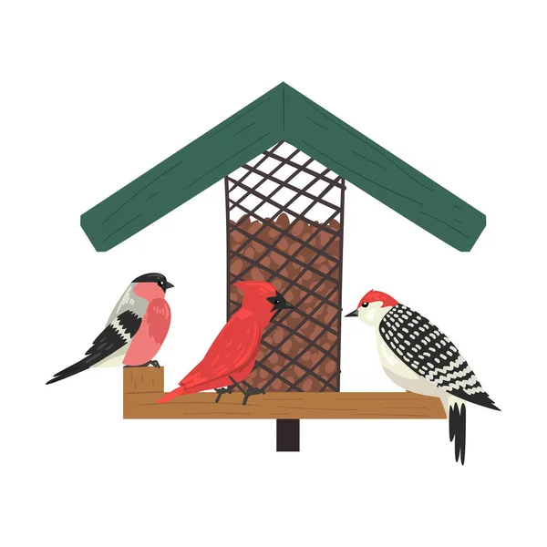 Χειμώνας Τροφοδότης πουλιών, Βόρεια Πουλιά σίτιση από σπόρους στο ξύλινο τροφοδότη, χαριτωμένο κόκκινο καρδινάλιος, Chickadee, Σπουργίτι, Woodpecker Εικονογράφηση διάνυσμα — Διανυσματικό Αρχείο