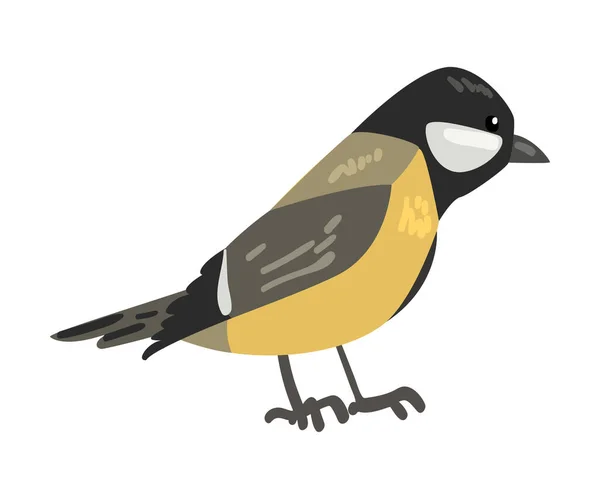 Leuke Titmouse Winter Bird, Mooie Noordse Vogelvector Illustratie — Stockvector