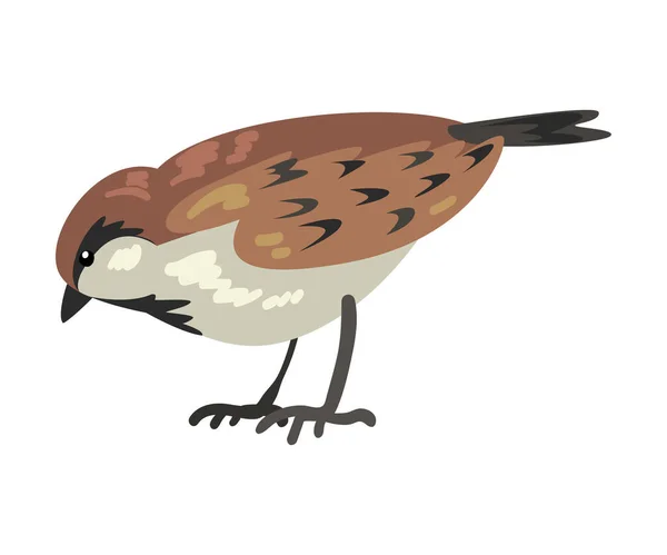 Leuke mus wintervogel, mooie Noord Vogel Vector Illustratie — Stockvector