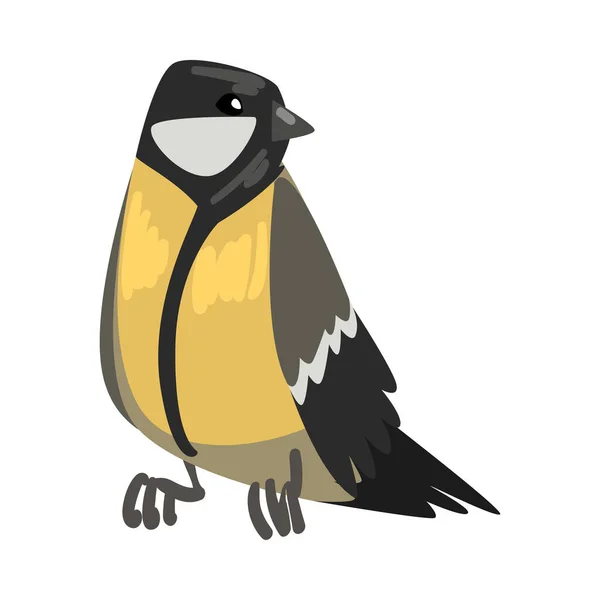 Cute Titmouse Bird, Beautiful Northern Birdie, Front View Vector Illustration — Stock Vector